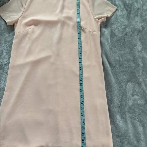 Lulu's light pink shift  Dress - Picture 4 of 5